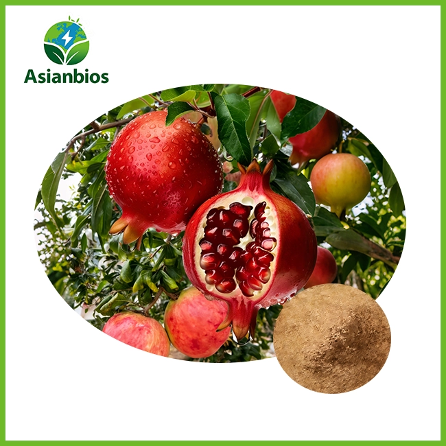 pomegranate seed extract powder
